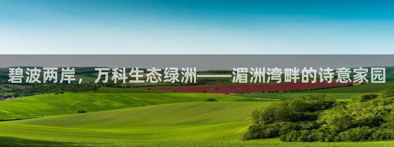 新宝gg dengludizhi