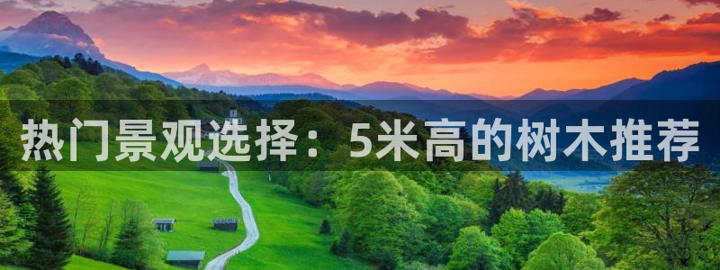 新宝gg正规