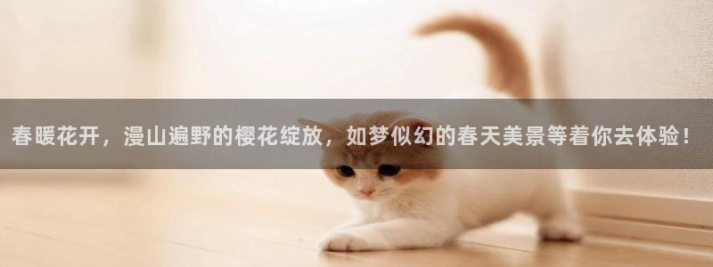 正版新宝gg