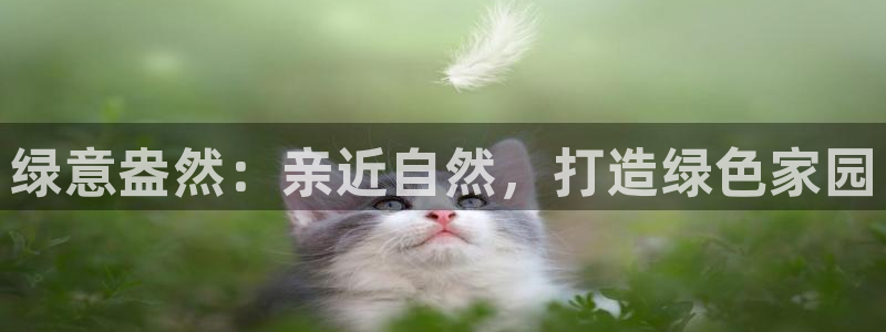 宝新gg