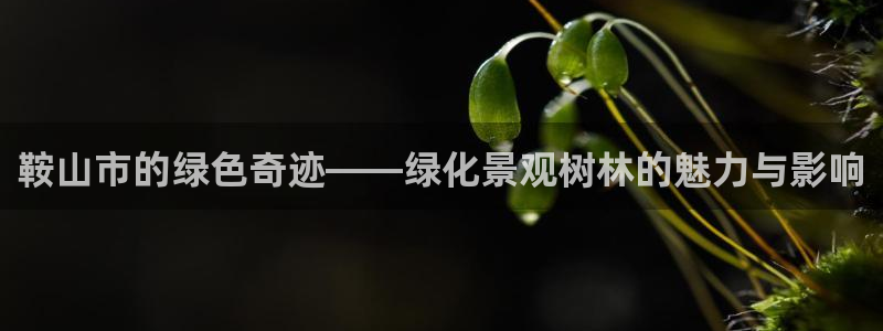 新宝gg注册平台