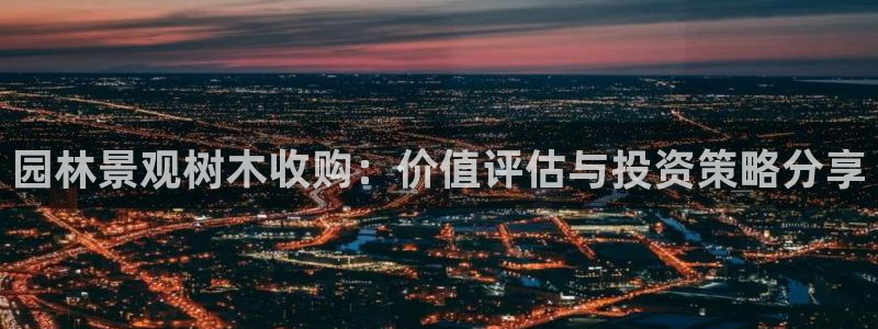 新宝gg平台下载安装