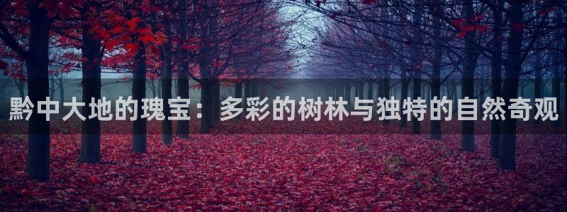 新宝gg推荐