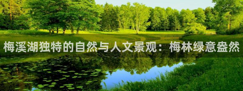 新宝gg首页