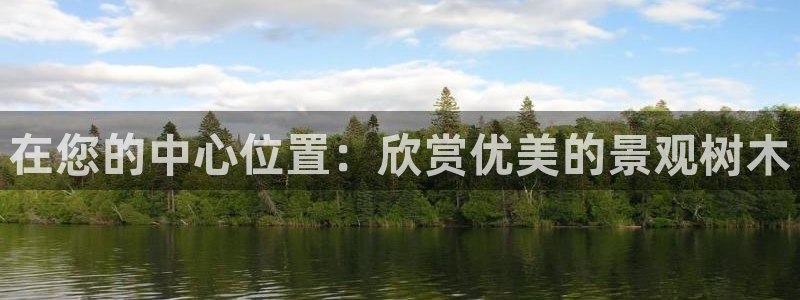 新宝GG专业团队