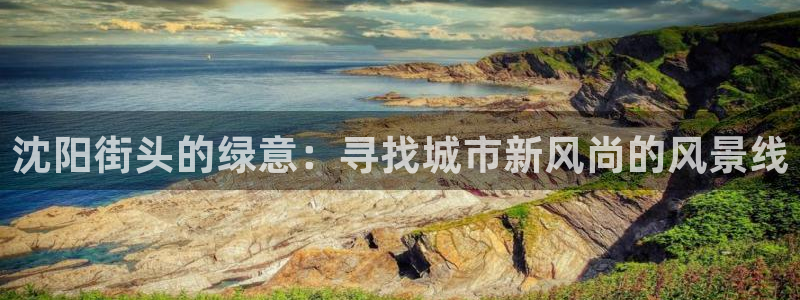 新宝gg招商致胜团队