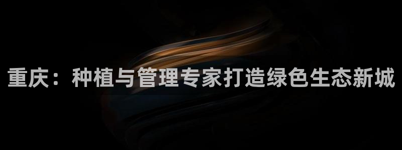 新宝gg打发