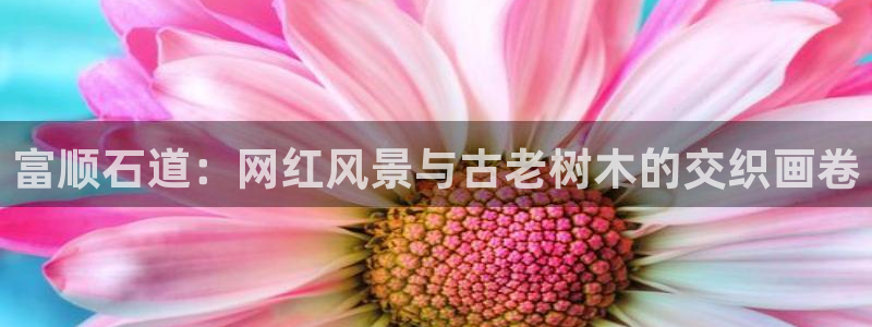 xbgg新宝gg