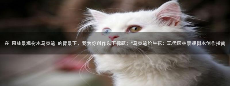 新宝GG创业奇迹