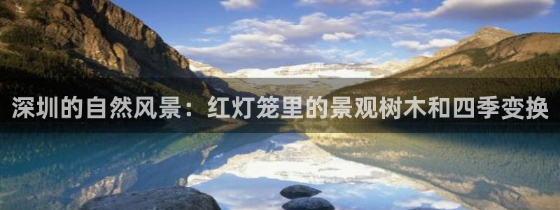 新宝gg信息
