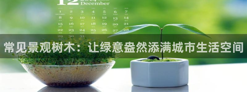 新宝gg最新章节