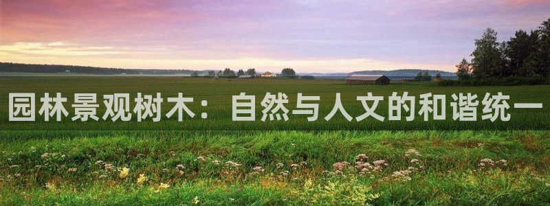 gg新宝gg