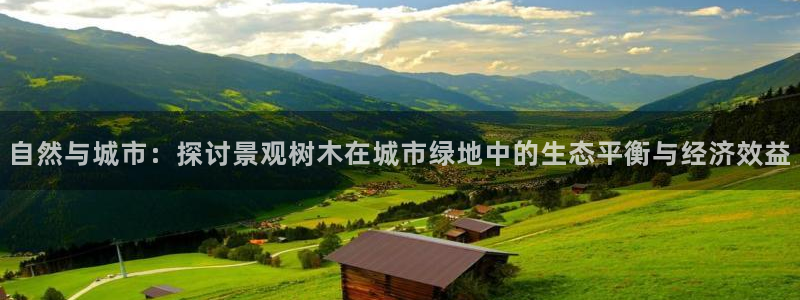 新宝gg如何代理