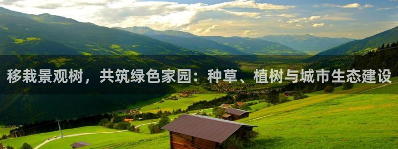 新宝gg娱乐首页