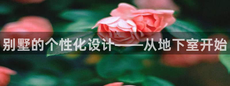 vip新宝gg