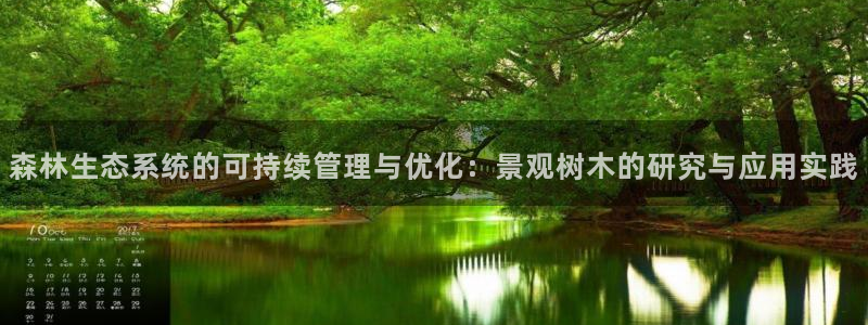 新宝gg一创造奇迹