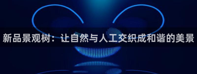 新宝gg与新宝5