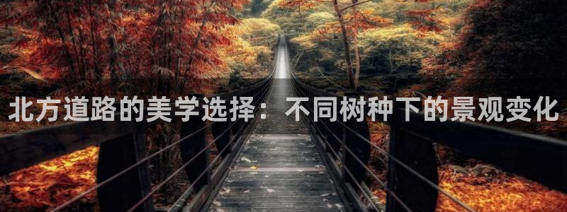 新宝gg_