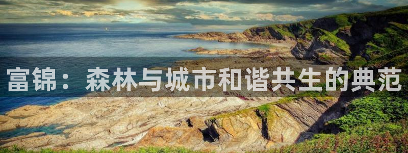 新宝gg软件下载