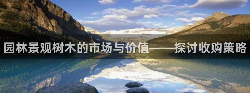 www.新宝gg