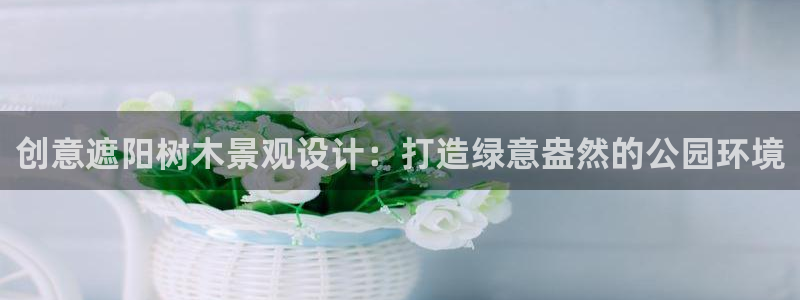 新宝gg咨询55312