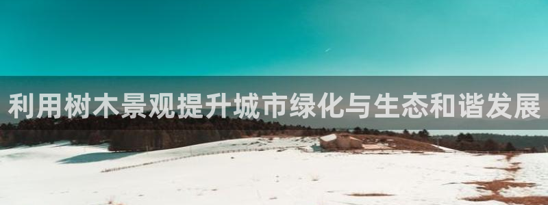新宝gg玩法