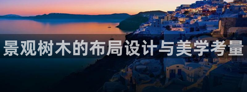 55新宝gg