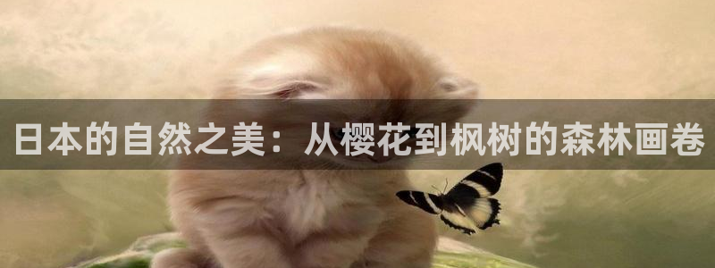 新宝gg登陆平台