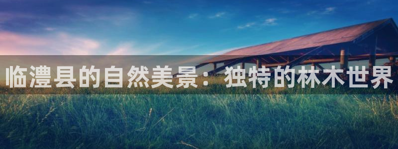 新宝gg网娱乐
