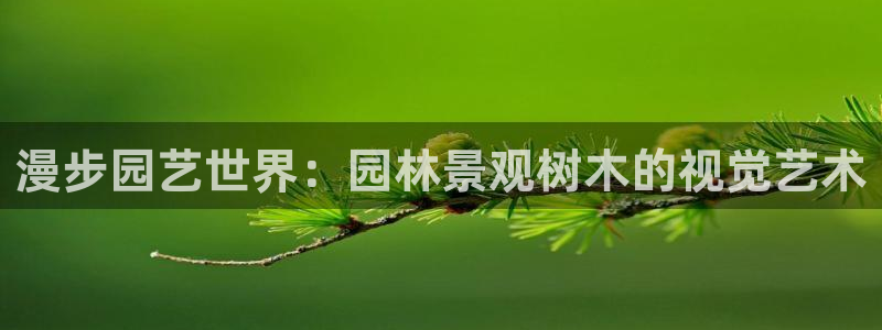 新宝gg下载官网下载