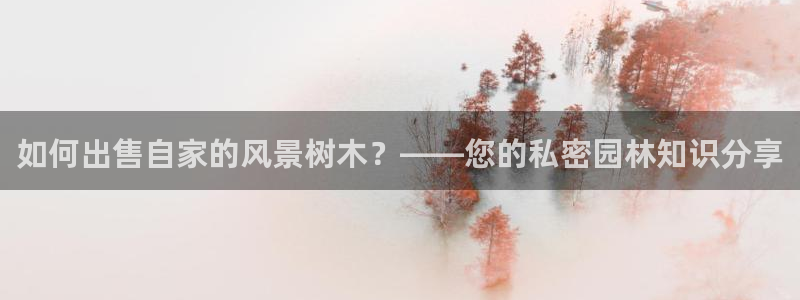 新宝gg娱乐上皇巢网