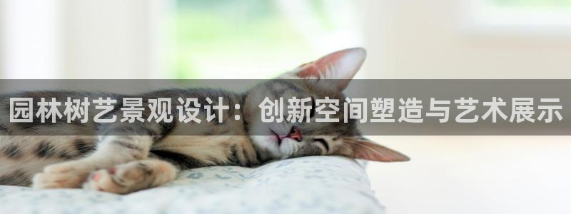 新宝gg dx-gg.cn：园林树艺景观设计：创新空间塑造与艺术展示