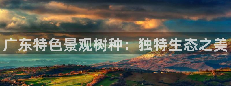 新宝gg如何做到总代理