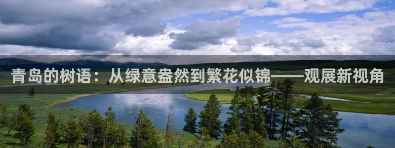 正版新宝gg