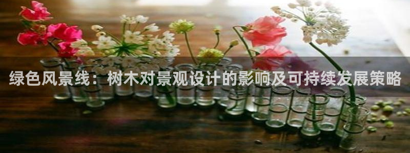 新宝GG手机客户端