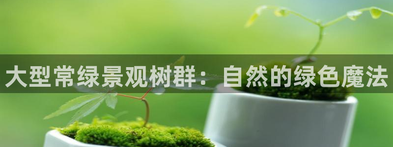 怎么代理新宝gg