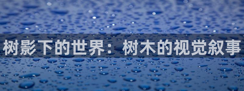 新宝gg官方注册找上级：树影下的世界：树木的视觉叙事