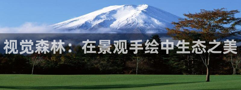 新宝gg官方主管