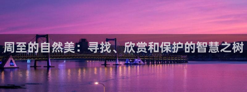 新宝gg平台下载安装