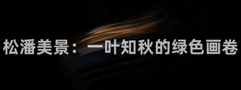 新宝gg q