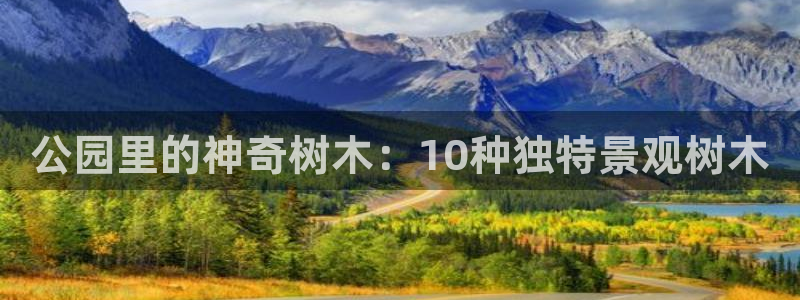 行新宝gg：公园里的神奇树木：10种独特景观树木