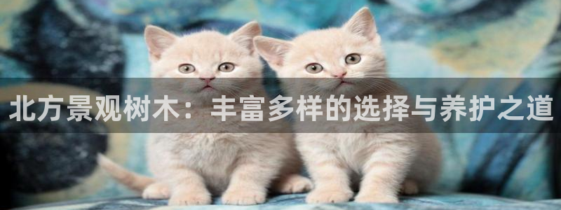 新宝gg8：北方景观树木：丰富多样的选择与养护之道
