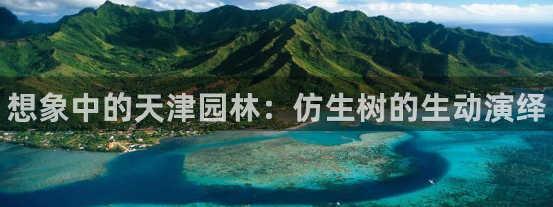 新宝gg网投