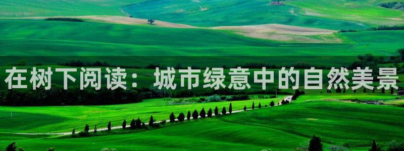 新宝gg申请账号