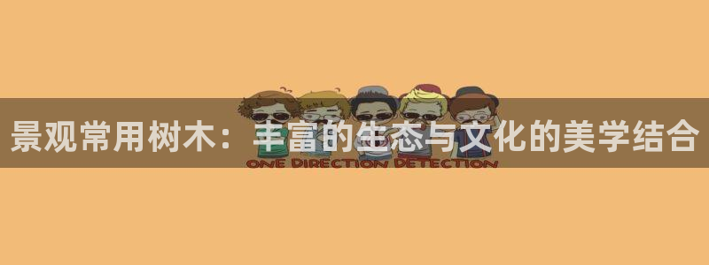 新宝gg怎么开户