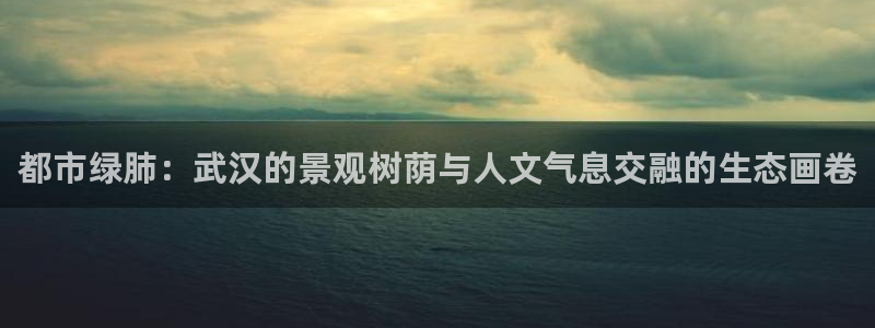 新宝gg娱乐vovq