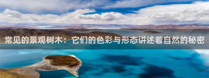 新宝新宝gg开户流程