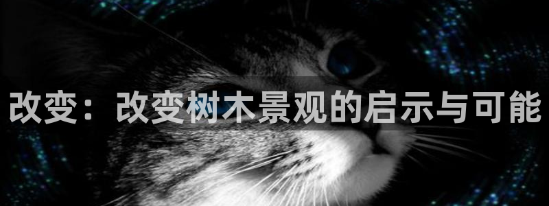 新宝gg客服电话