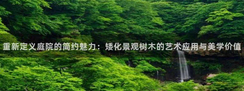 新宝gg重