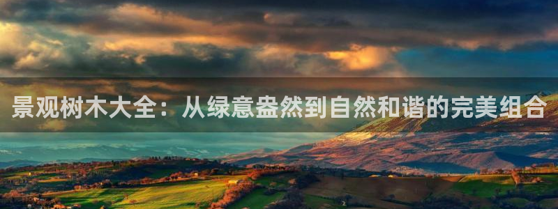 新宝GG苹果版